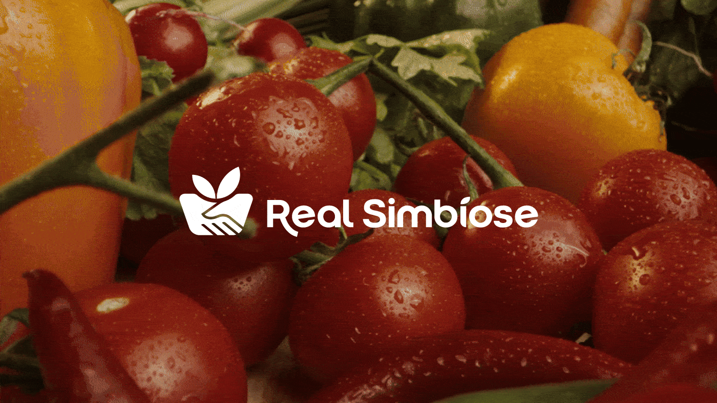 Medusa branding project